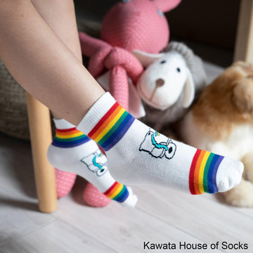 Anti-Slip Quarter Rainbow Roller Blade Socks - Kawata House of Socks